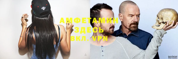 стаф Володарск