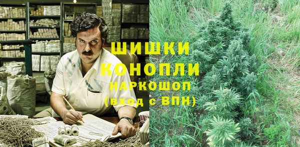стаф Володарск