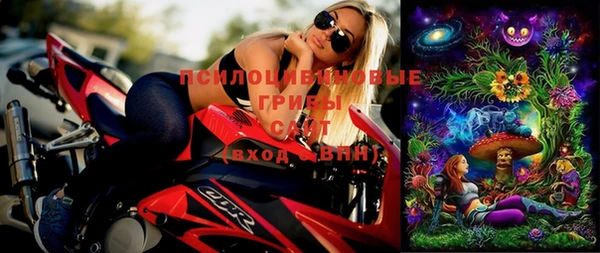 индика Строитель