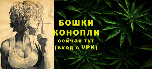 стаф Володарск