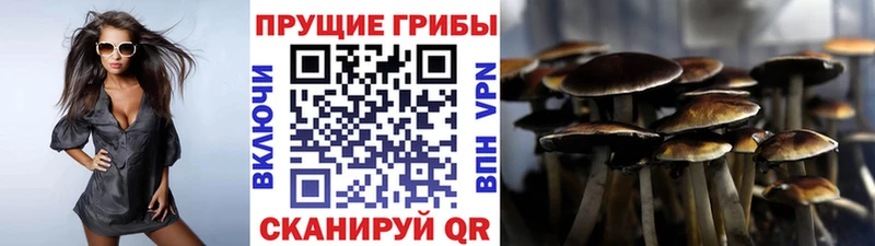 Галлюциногенные грибы MAGIC MUSHROOMS  где найти   Назарово 